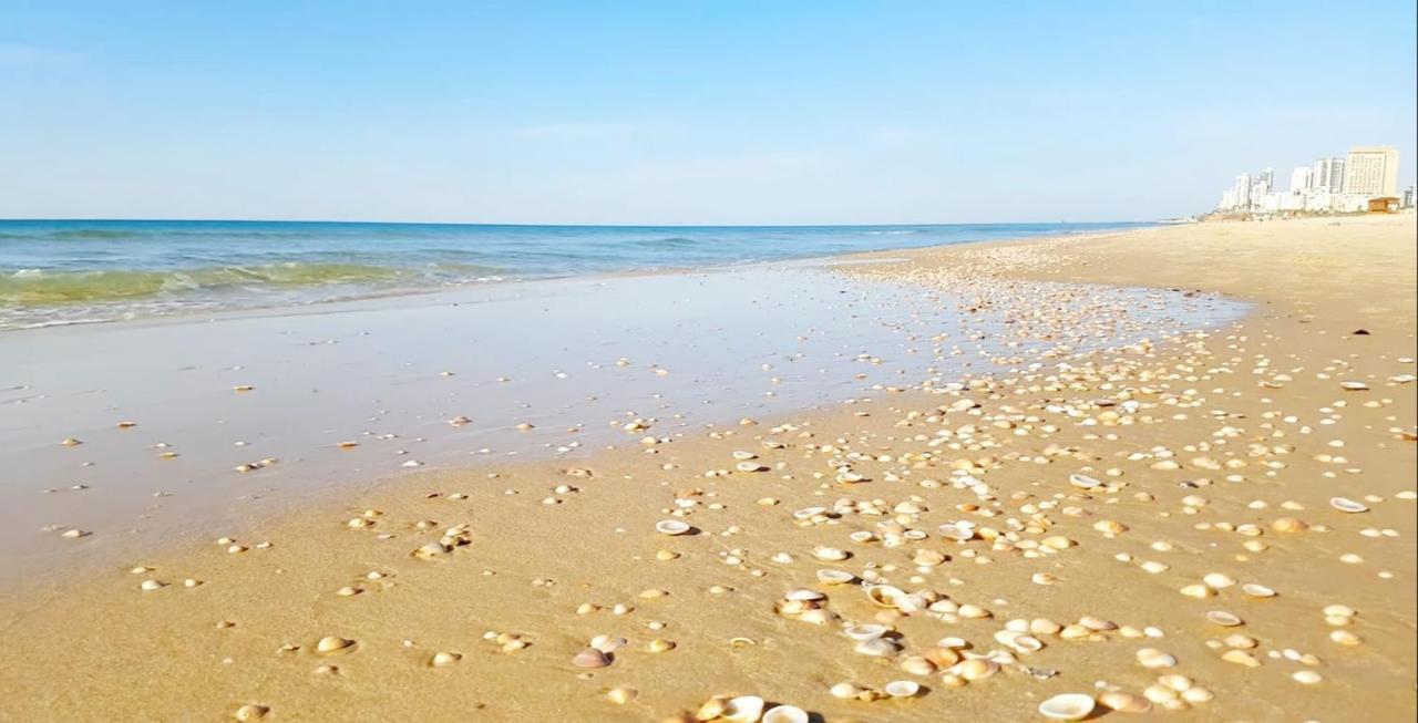 7 Hotel Apartment Short Time Tlv 巴特亚姆 外观 照片